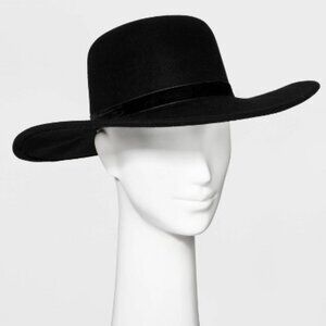 Wide Brim Felt Hat